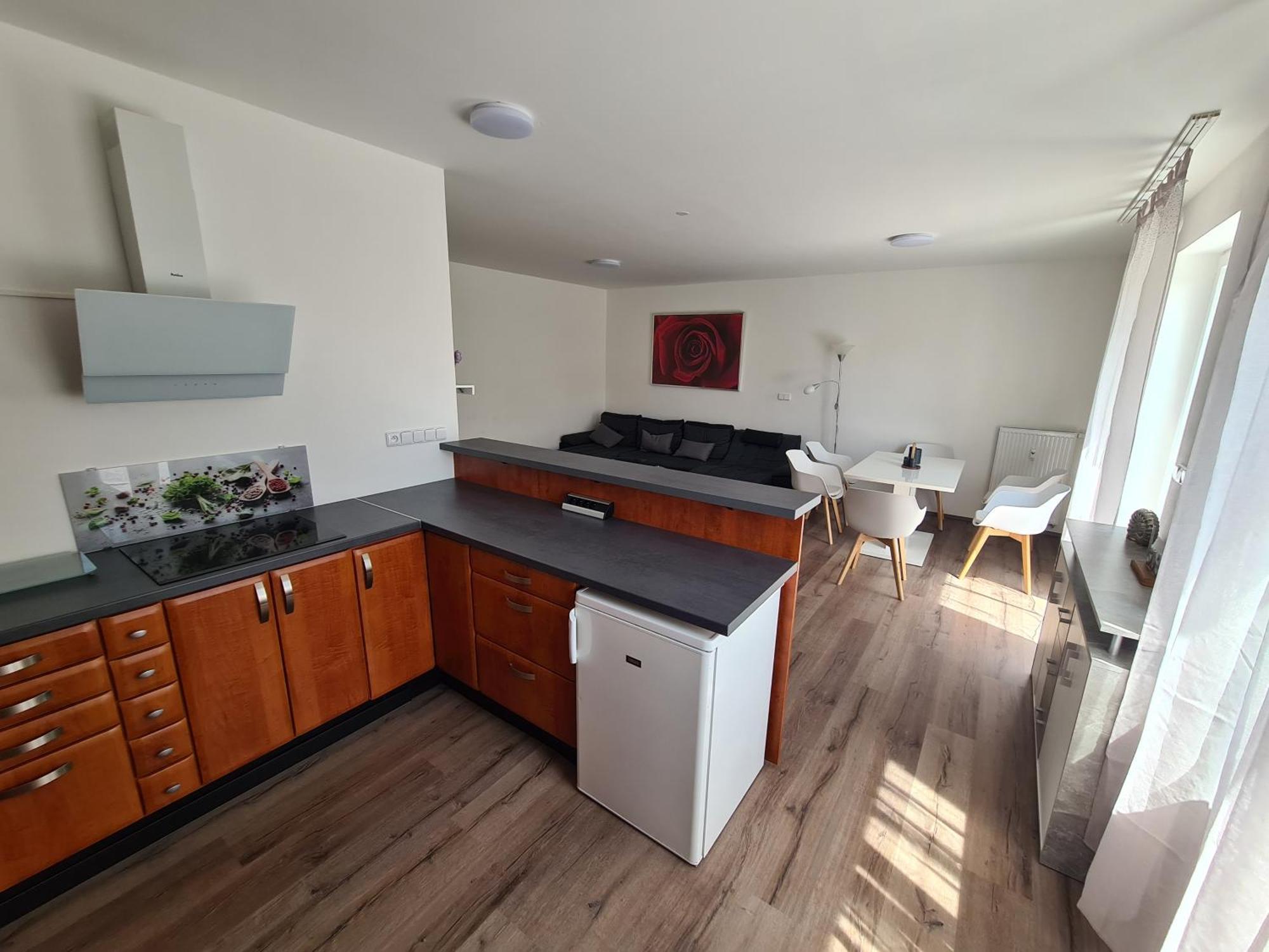 Exclusive Lipno Wellness&spa Apartment Frymburk nad Vltavou