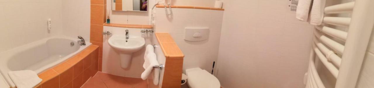 Exclusive Lipno Wellness&spa Apartment *